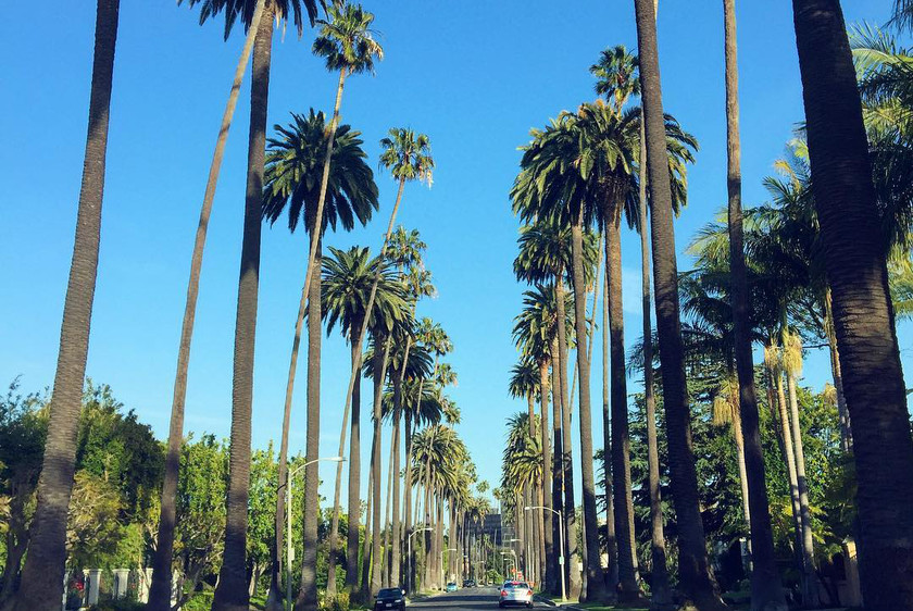 Studieophold i Los Angeles, Beverly Hills