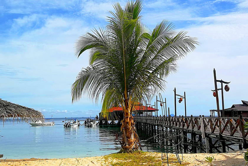 Hav og palmer på Borneo