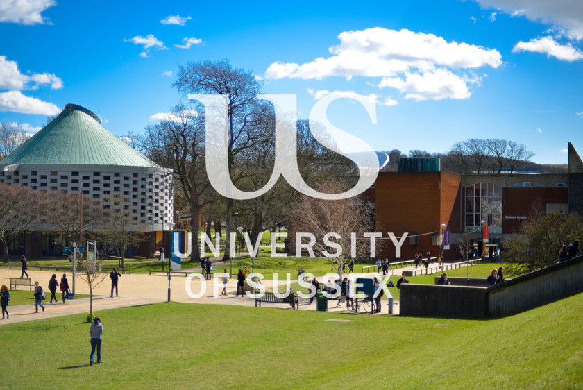 Kom på studieophold på University of Sussex