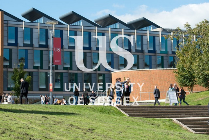 Semester på University of Sussex