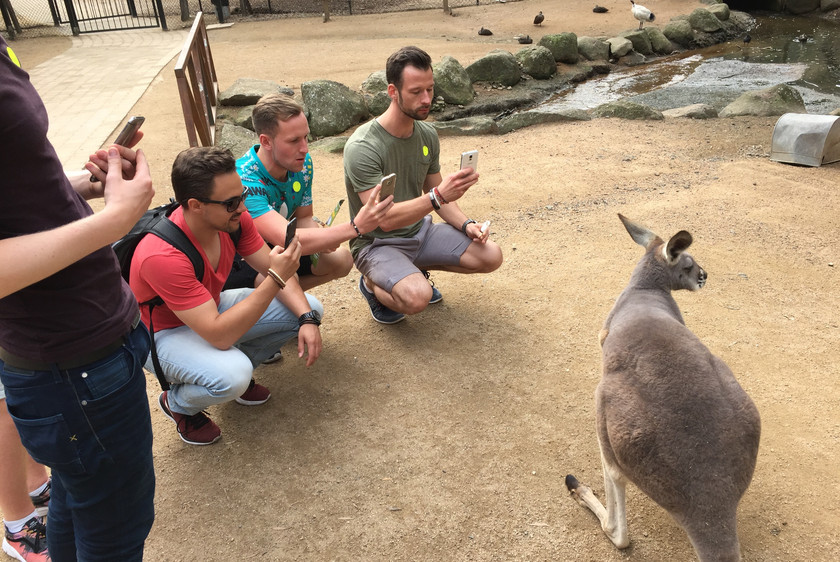 Australsk kultur kænguru på Griffith University