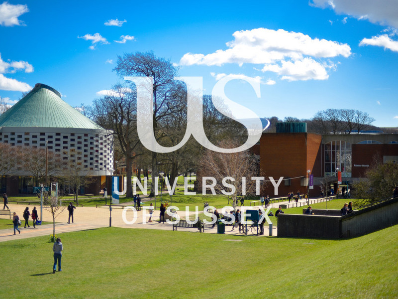 University of Sussex Campus